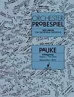 orchesterprobespiel_geschwendtner_ulrich_schlagzeug_pauke